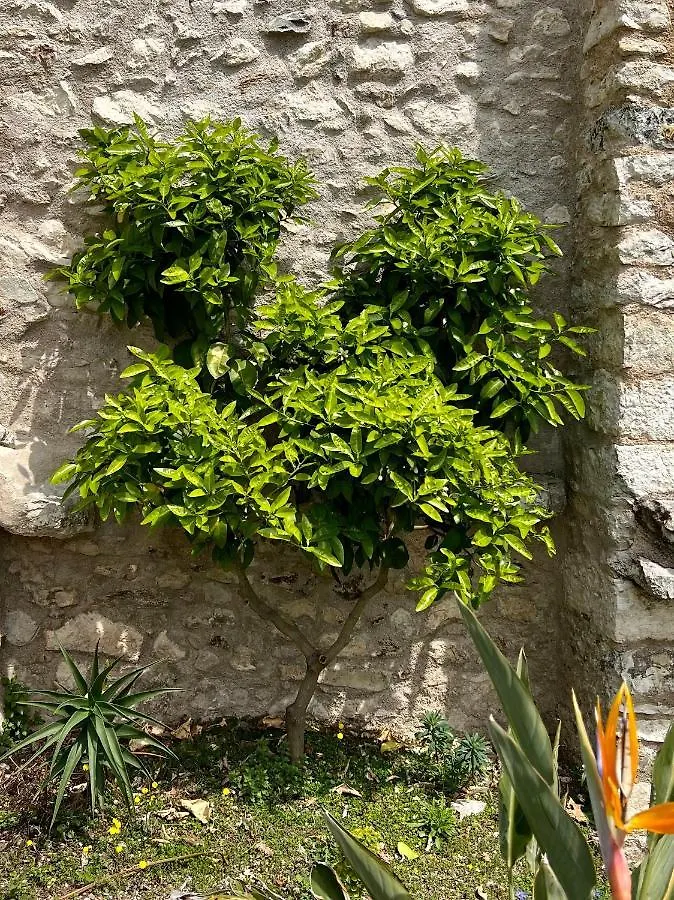 Villa Del Lis Gargnano