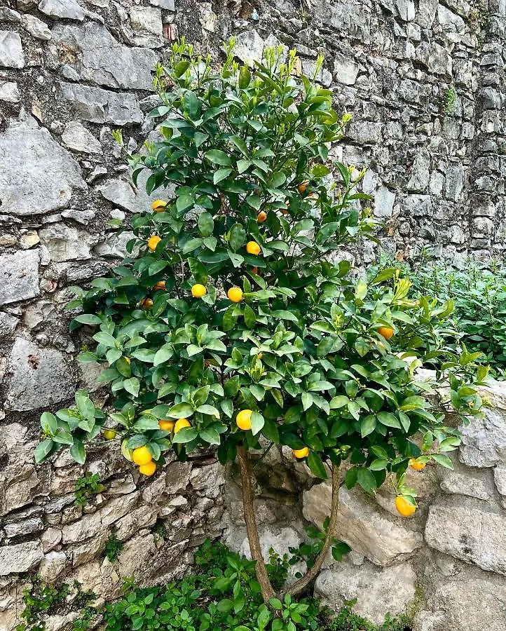 Villa Del Lis Gargnano 0*,