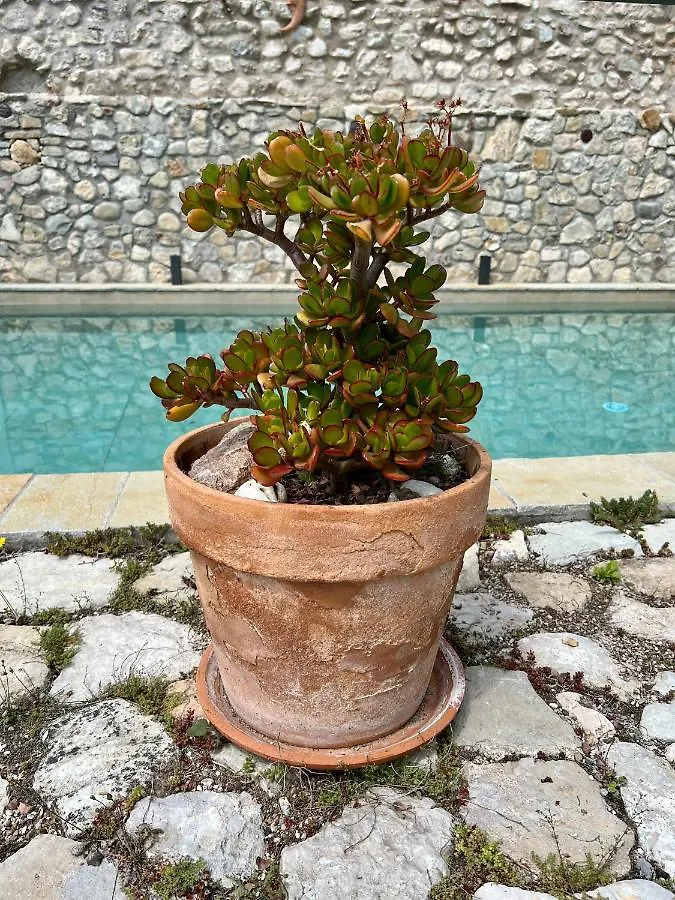 Villa Del Lis Gargnano Privatunterkunft