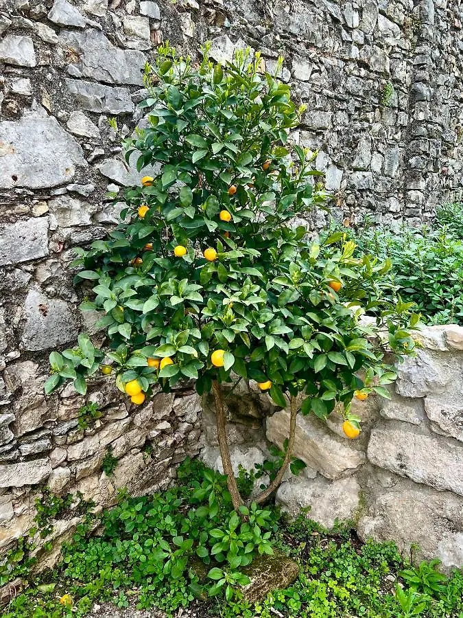 Villa Del Lis Gargnano Privatunterkunft